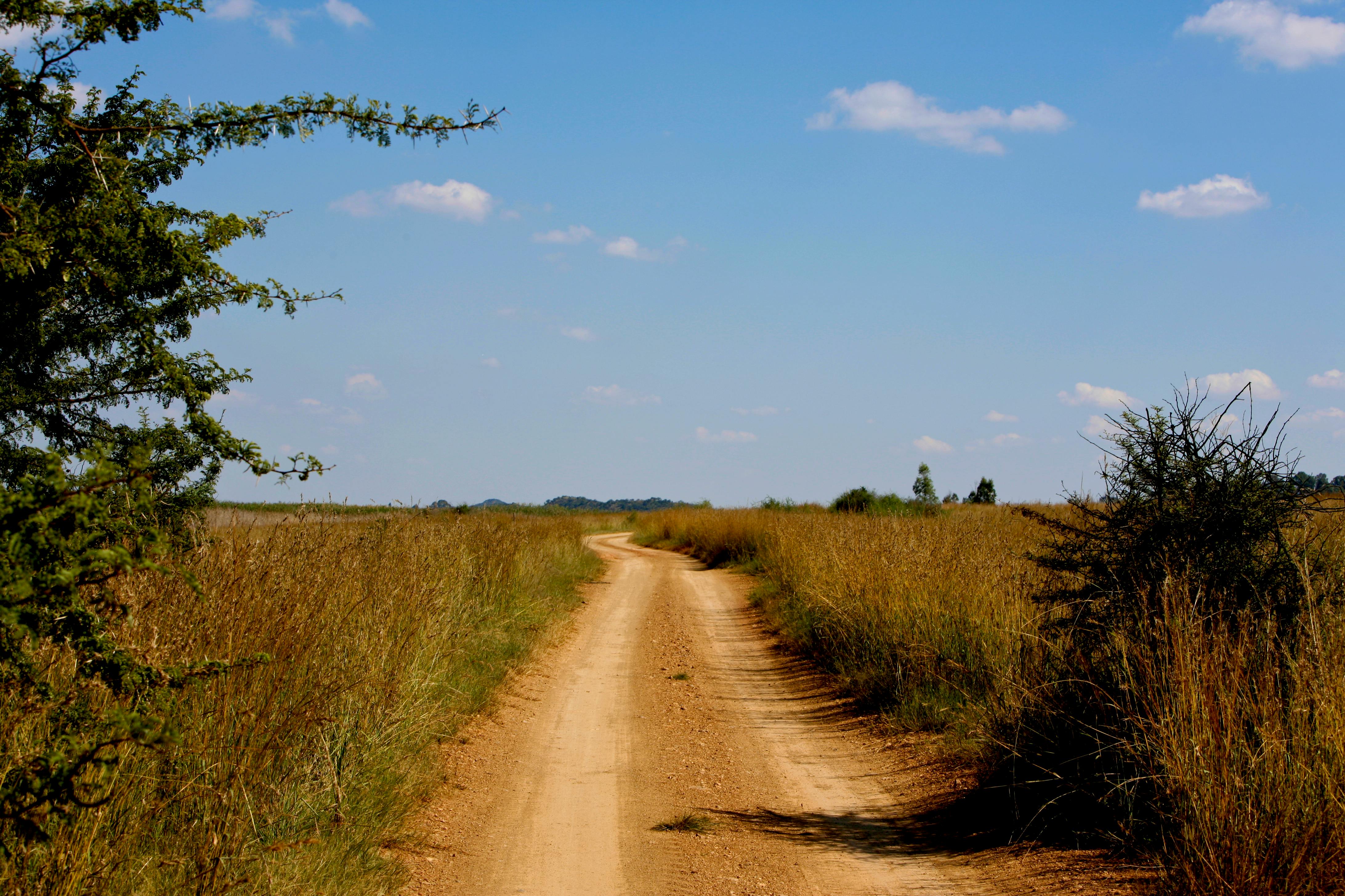 Free stock photo of african road, dirt road, dusty road