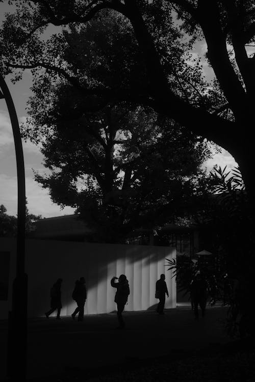 Grayscale Photo of People Walking on the Street