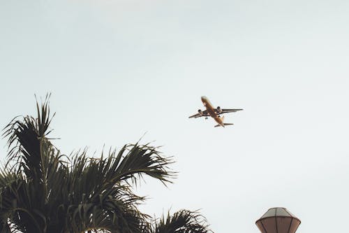 Low Angel Photo of Flying Air Liner