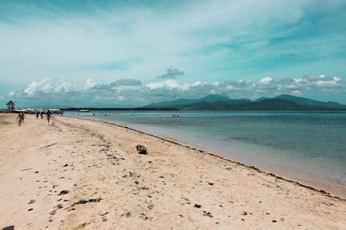 People on Seashore Under Cloudy Sky