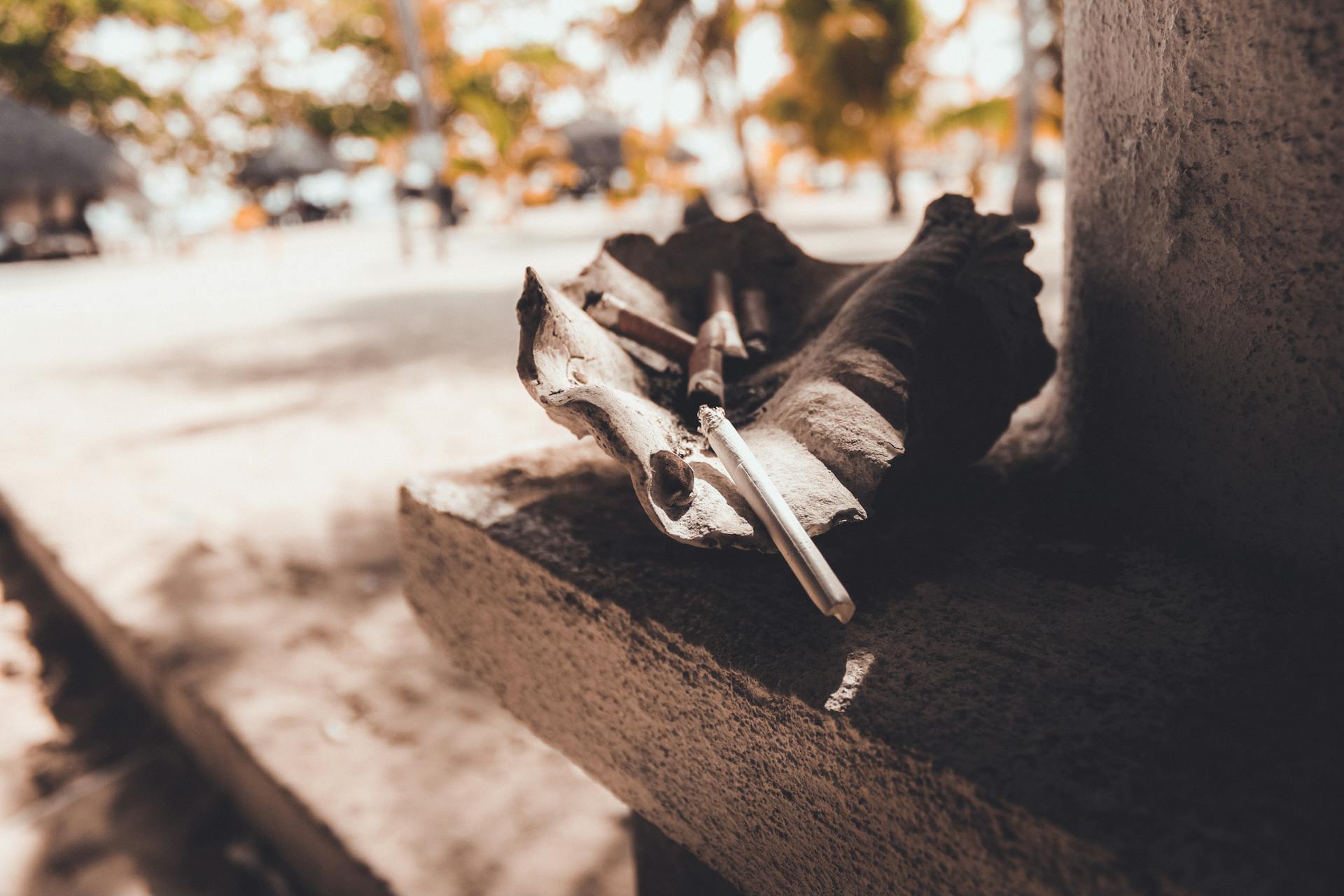 Conch shell resting on stone beside cigarette, sunny Puerto Princesa beach scene.
