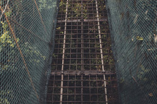 Fotobanka s bezplatnými fotkami na tému architektúra, konštrukcia, most