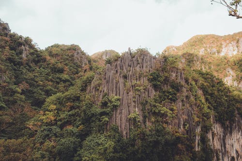 Photo De La Formation De Gray Rock Avec Des Arbres Pendant La Journée