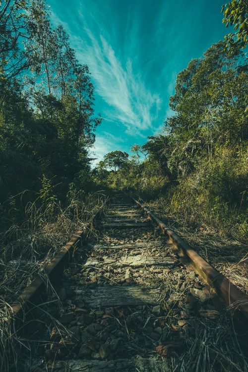 Free Abandoned railway tracks surrounded by lush greenery under a vibrant sky. Stock Photo