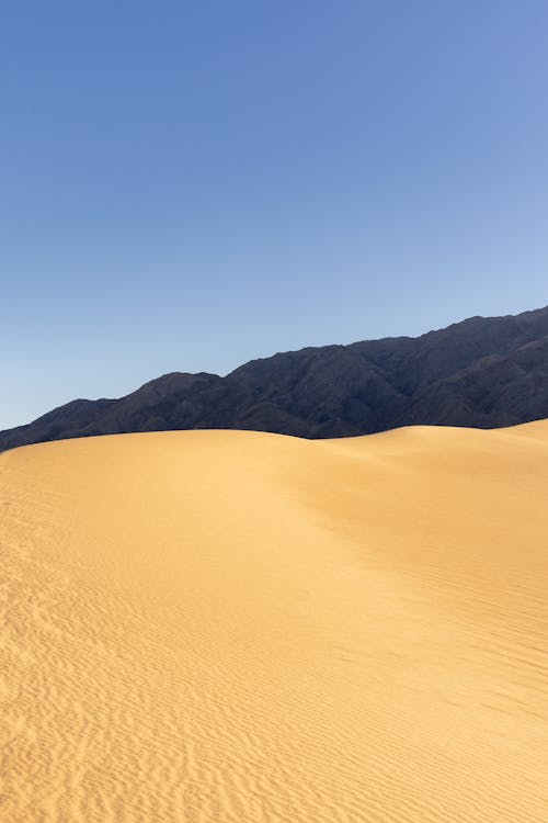 Free Blue Sky Over the Dry Sand Stock Photo