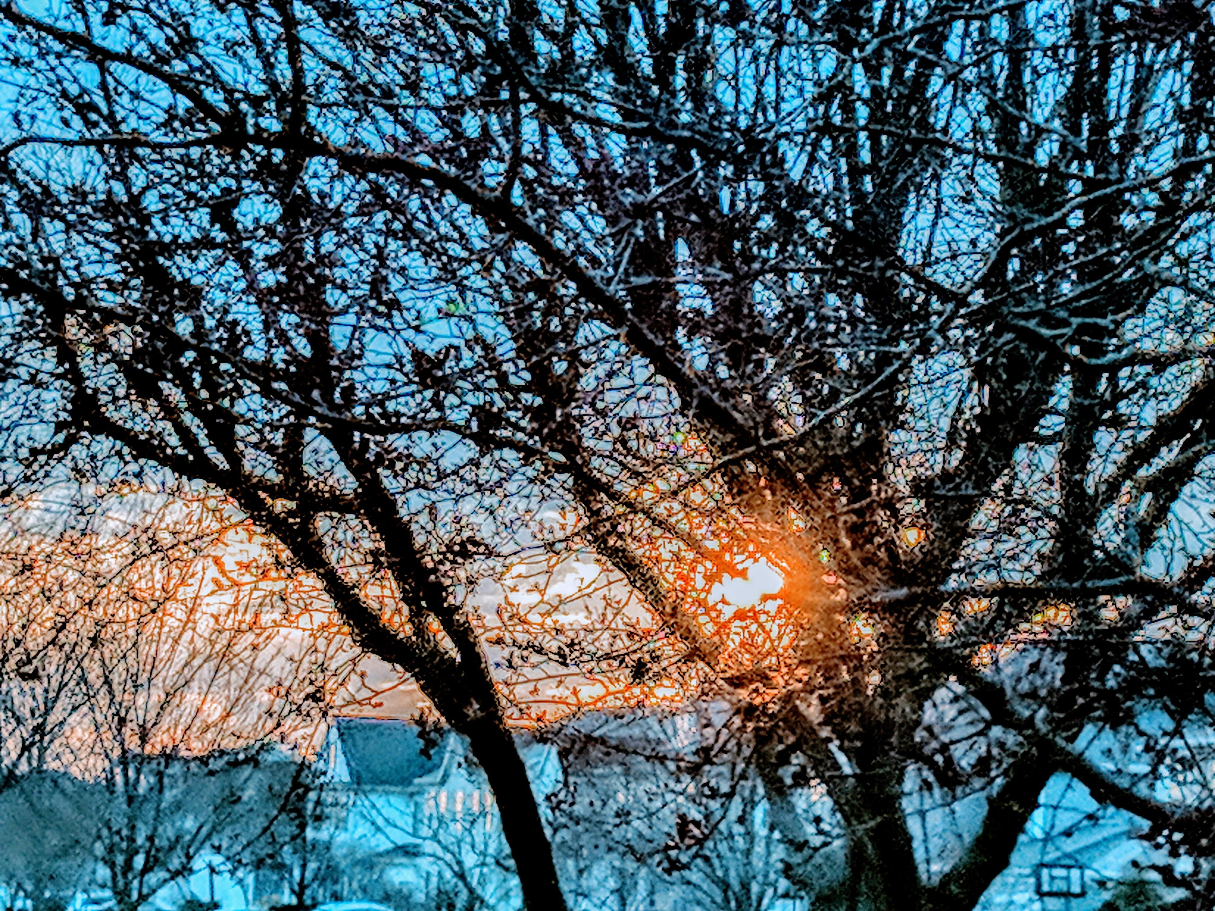 Free stock photo of Imaginary World, peach sunset, sky