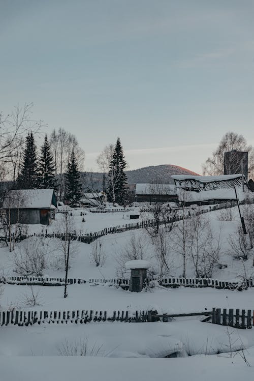 Foto profissional grátis de árvores, casas, céu limpo