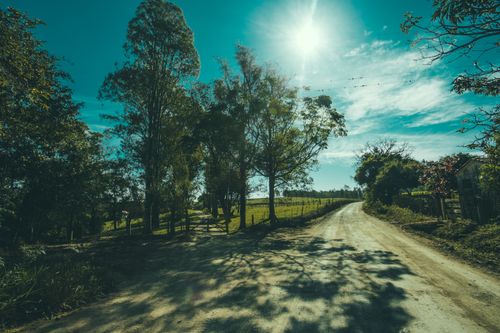 Free A rural dirt road lined with trees under a bright sun, depicting serene nature and tranquility. Stock Photo