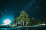 在宁静的森林景观中，令人惊叹的夜间景观捕捉到了星空下的银河系