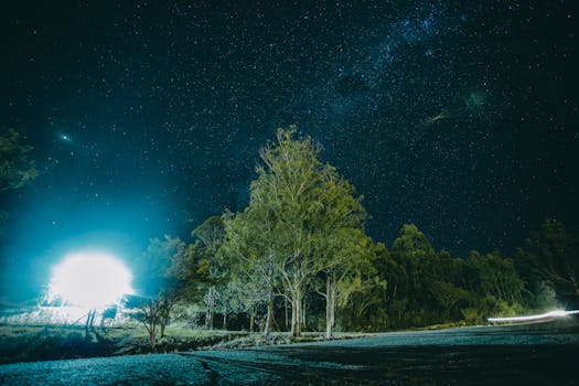 令人惊叹的夜间景观捕捉到了宁静森林上空银河系的壮丽景象
