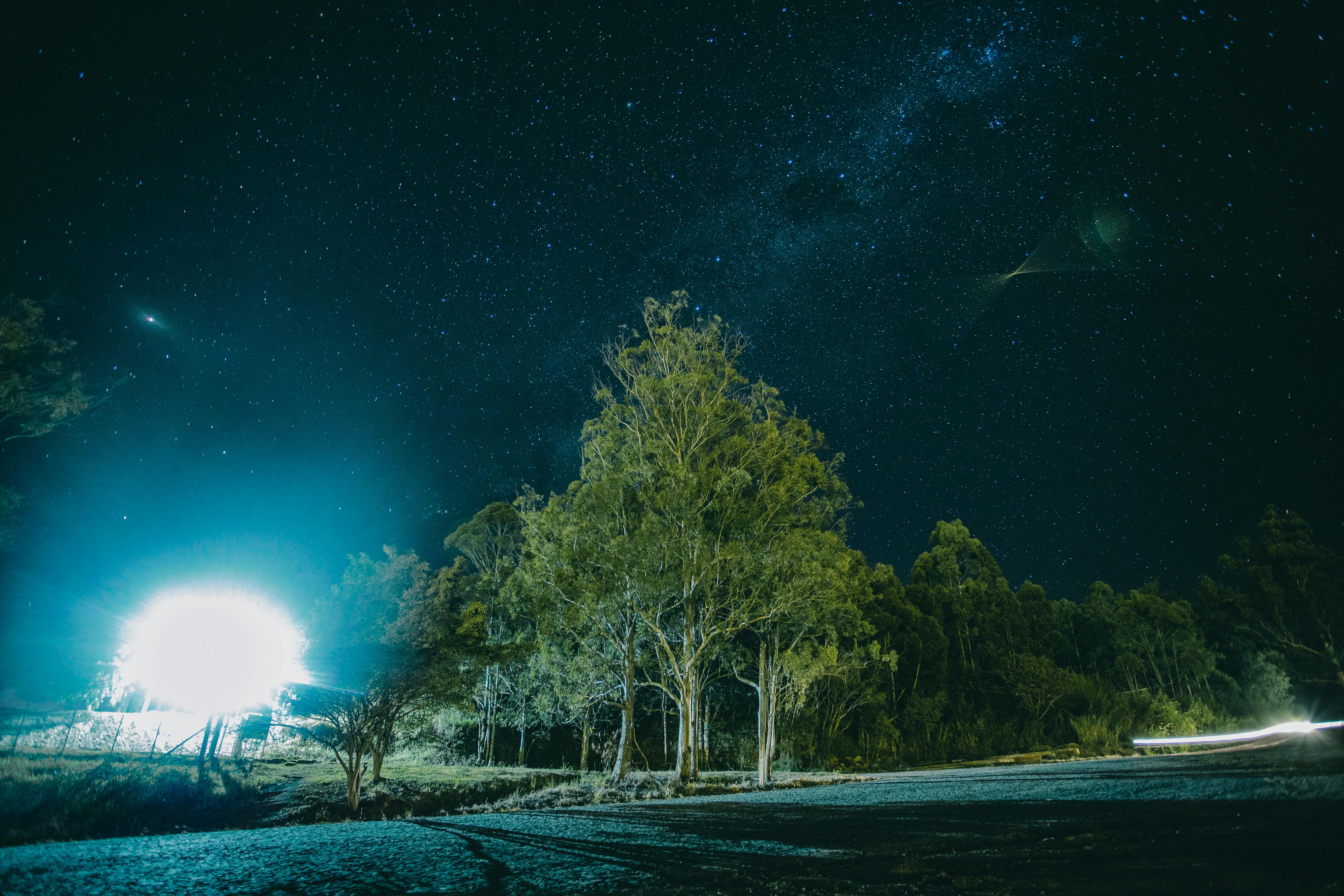 Worm's Eye View Photography of Starry Night · Free Stock Photo, black and white nature wallpaper color