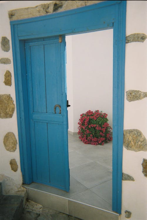 Blue Wooden Door 