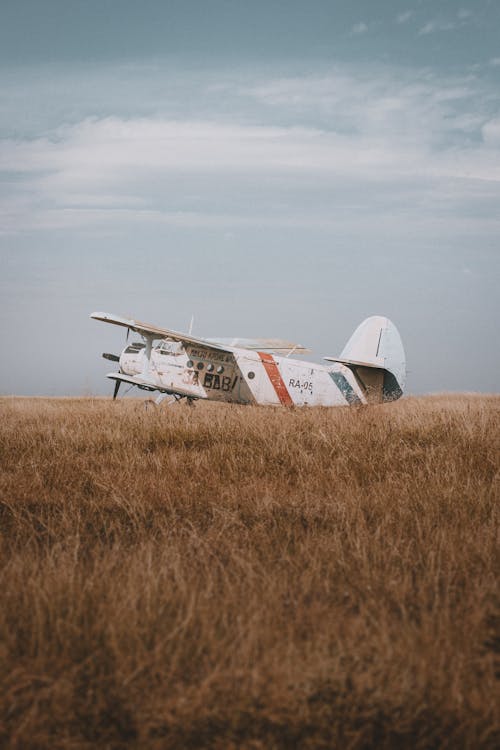 Biplane on Grass
