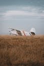Biplane on Grass