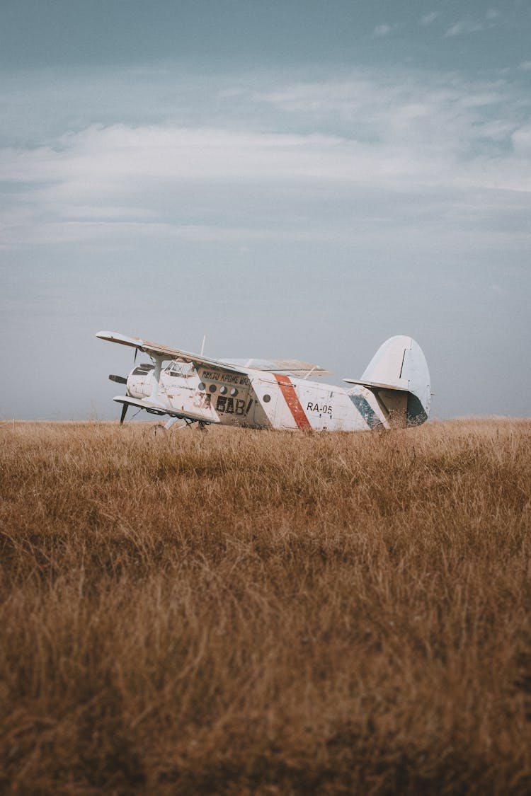 Biplane On Grass