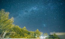 在宁静而郁郁葱葱的森林中捕捉充满活力的星空，这是自然和天文爱好者的理想之地