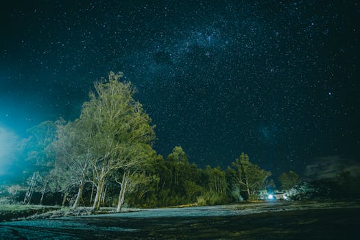 夜晚的森林宁静，星空壮丽