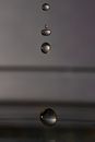 Falling Water Droplets in Close-up Photography