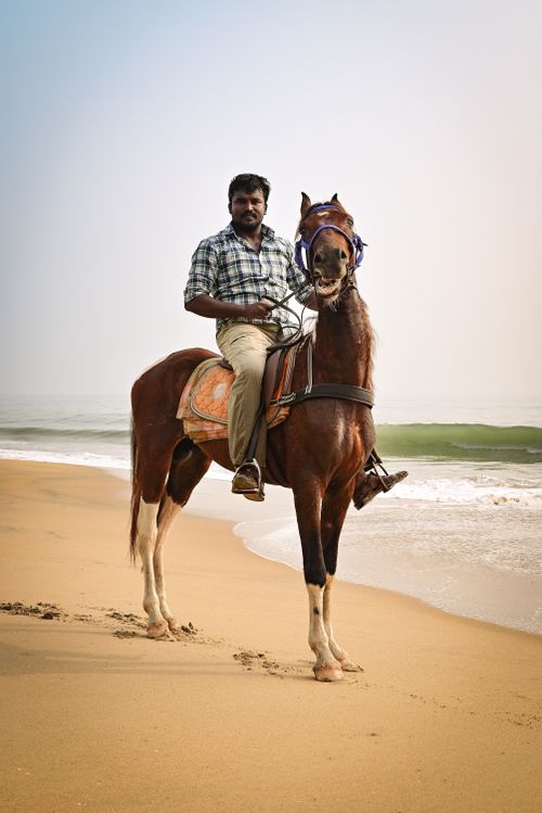 Free A man on horseback enjoying a serene ride along Chennai's sandy coast. Stock Photo