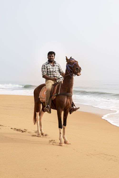 Free A man rides a horse along the sandy shore of a beach in Chennai, India, with gentle waves in the background. Stock Photo