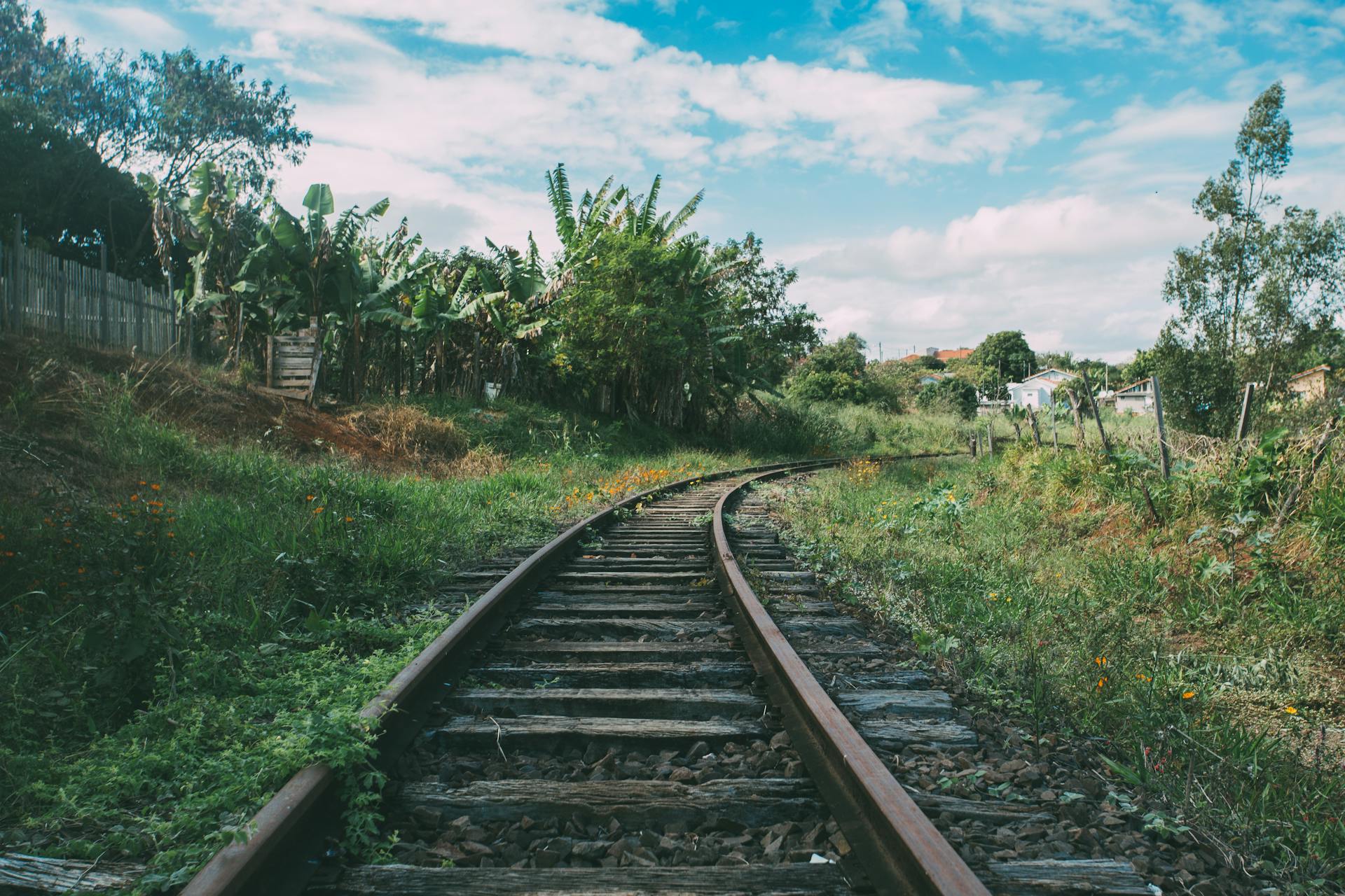 Train Rail