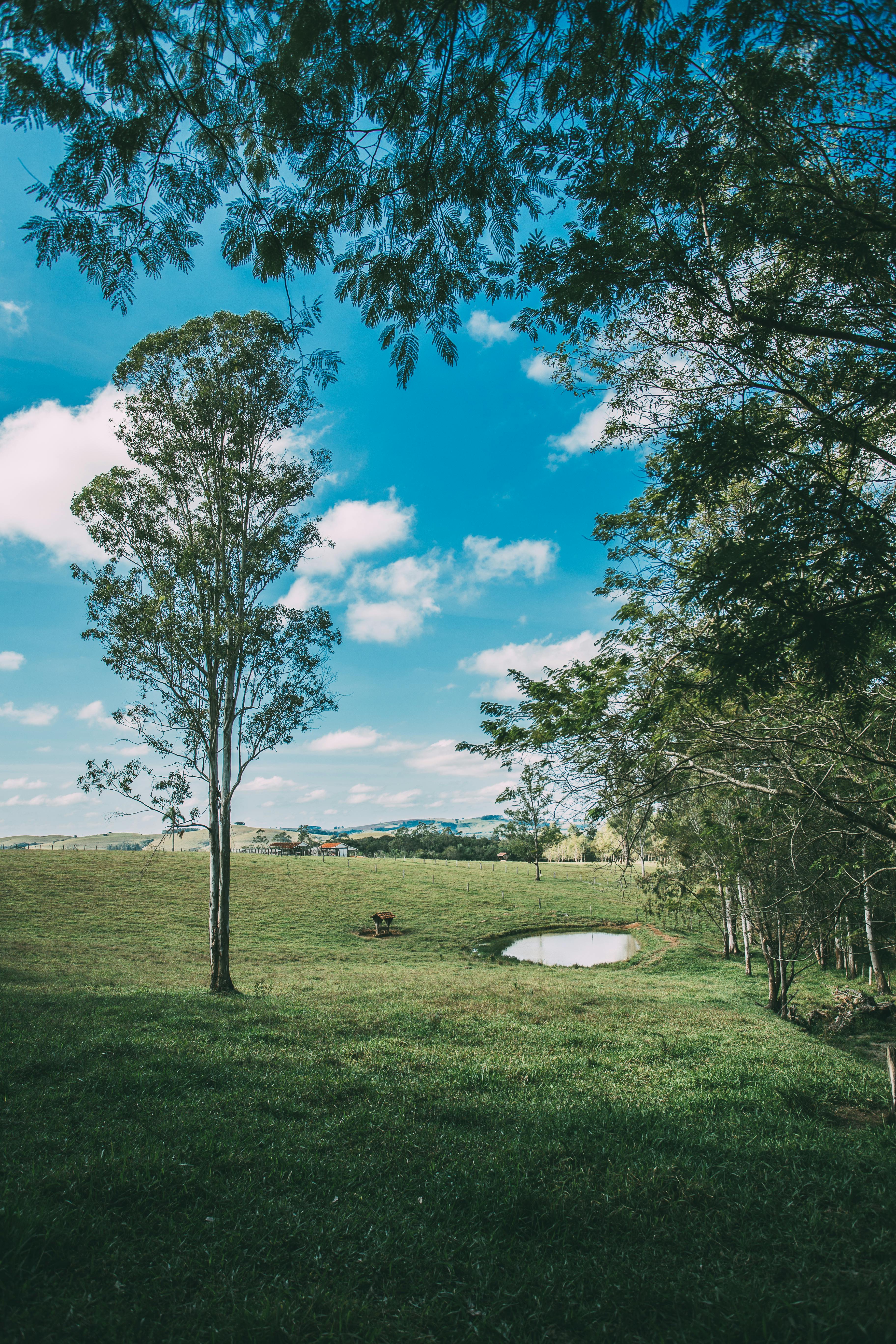 golf course under clear blue sky