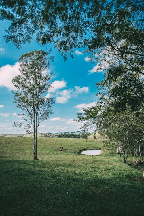 Golf Course Under Clear Blue Sky