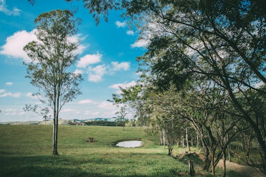 Idyllic rural landscape featuring trees, a small pond, and a vast green field under a bright blue sky.