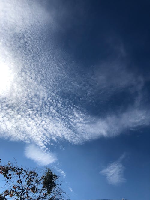 Foto profissional grátis de céu azul, céu bonito