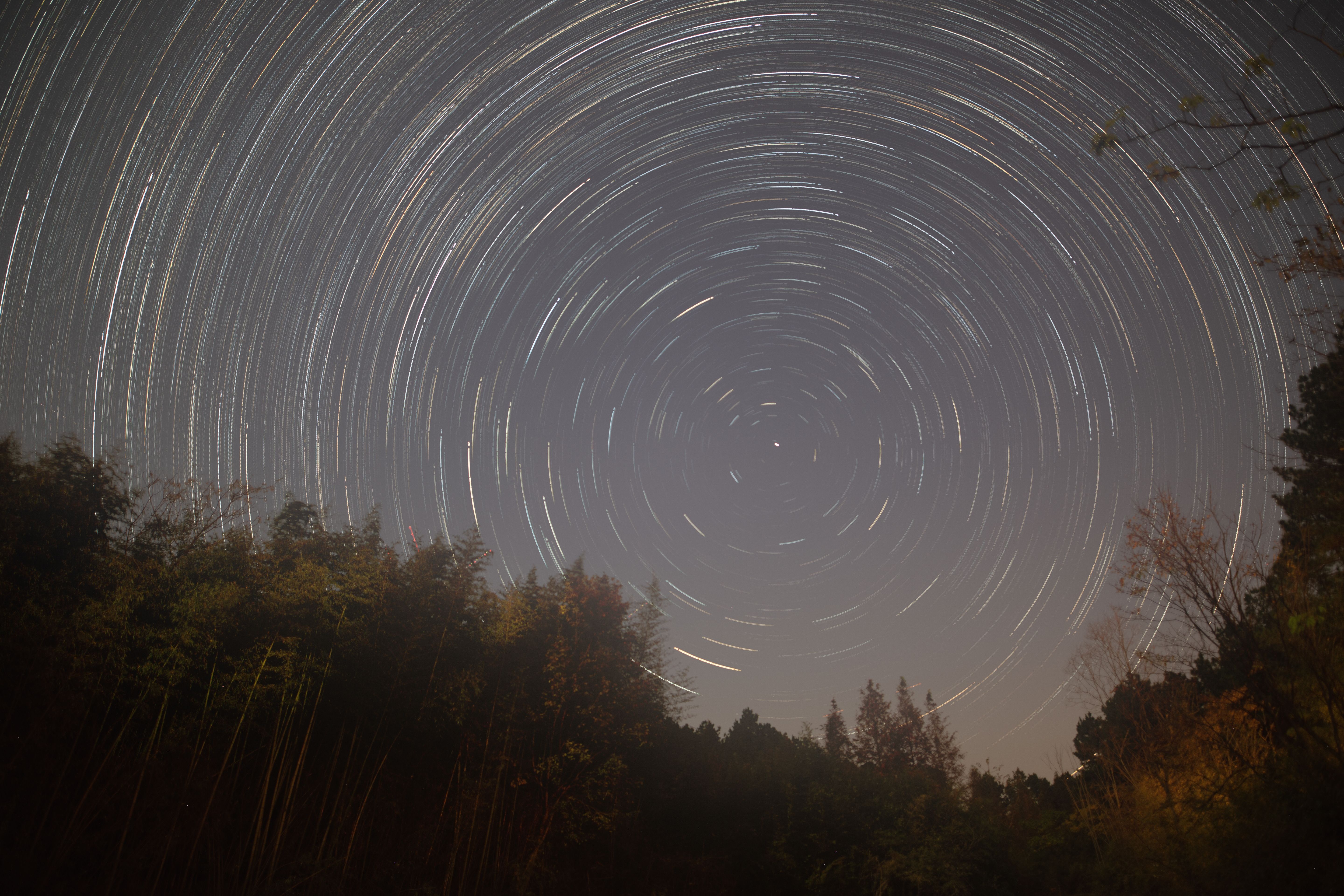 Zi Wei Dou Shu chart with the Life Palace at center, surrounded by 14 master stars and auxiliary stars