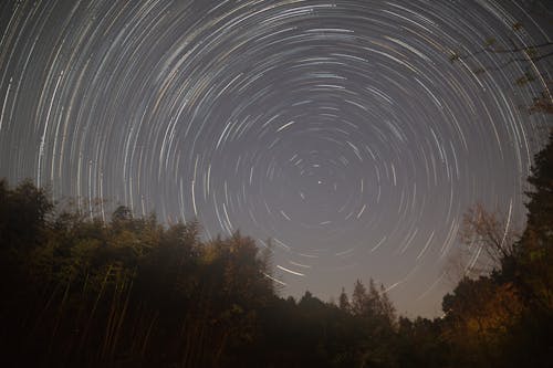 Darmowe zdjęcie z galerii z astronomia, długa ekspozycja, drzewa