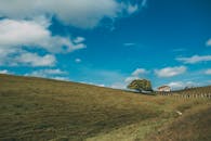 蓝天下，宁静的乡村里有一棵孤独的树和一座房屋