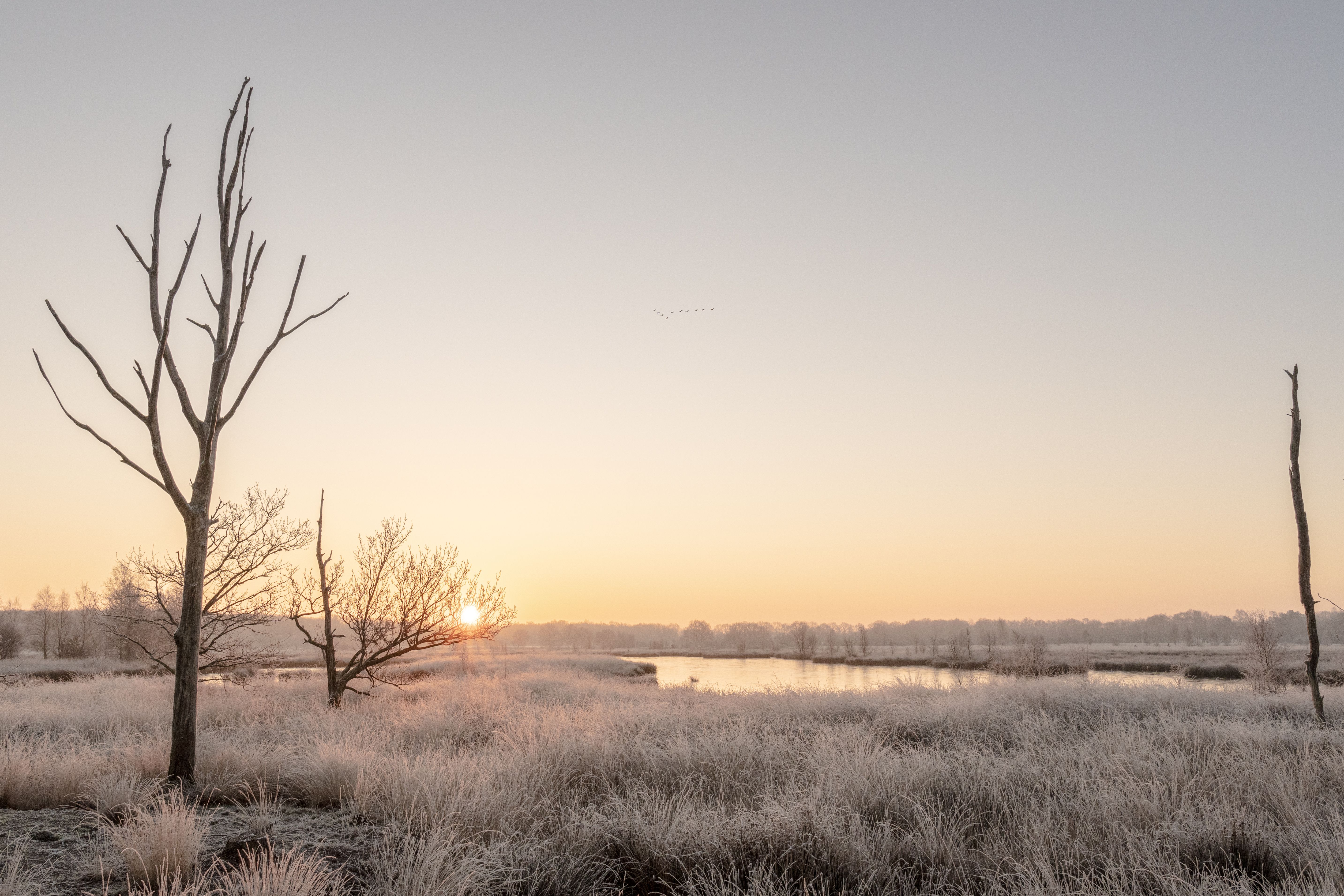 Hoogeveen