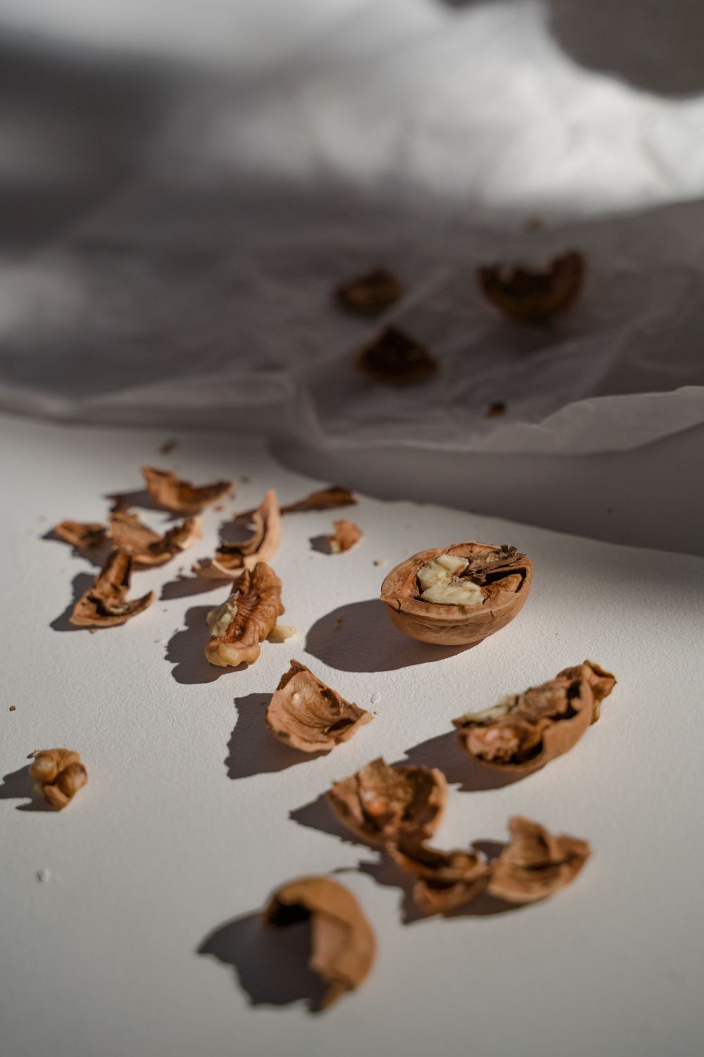 Broken Nut Shell Close up on Broken Nuts · Free Stock Photo