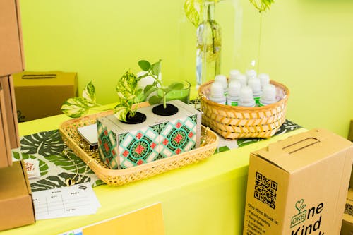 Foto profissional grátis de cesta tecida, dentro de casa, mesa