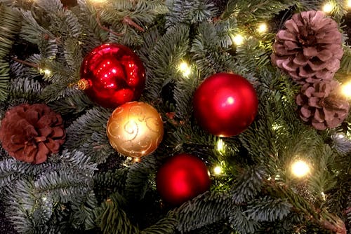 Free stock photo of christmas, christmas decoration, decoration Stock Photo