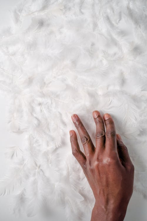 Hand Touching White Feathers on White Background