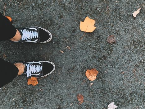 A top view of sneakers on pavement surrounded by dried autumn leaves.