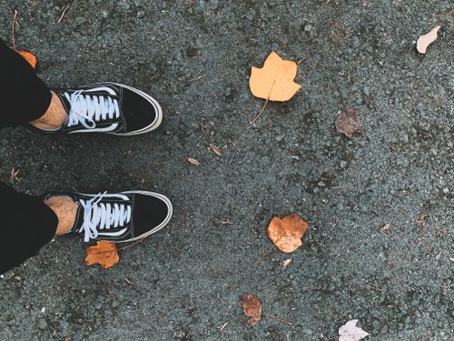 Free A top view of sneakers on pavement surrounded by dried autumn leaves. Stock Photo
