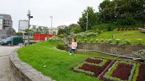 Fotobanka s bezplatnými fotkami na tému belgickocity, budova bloku, budova kostola