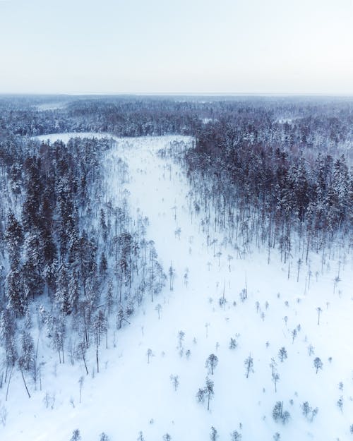 Бесплатное стоковое фото с snow, winter, вертикальный выстрел