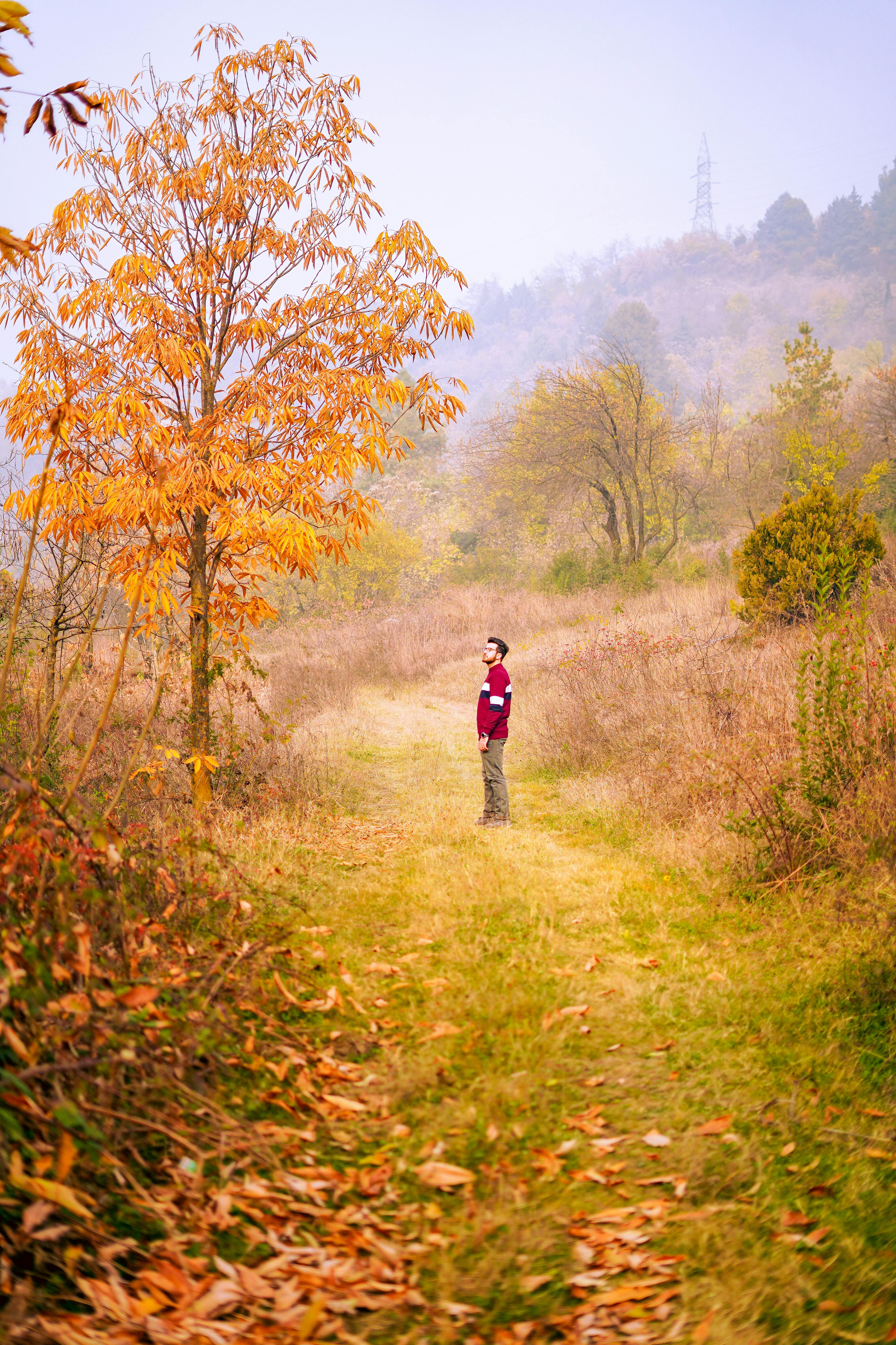 Two people walking through the woods in the fall · Free