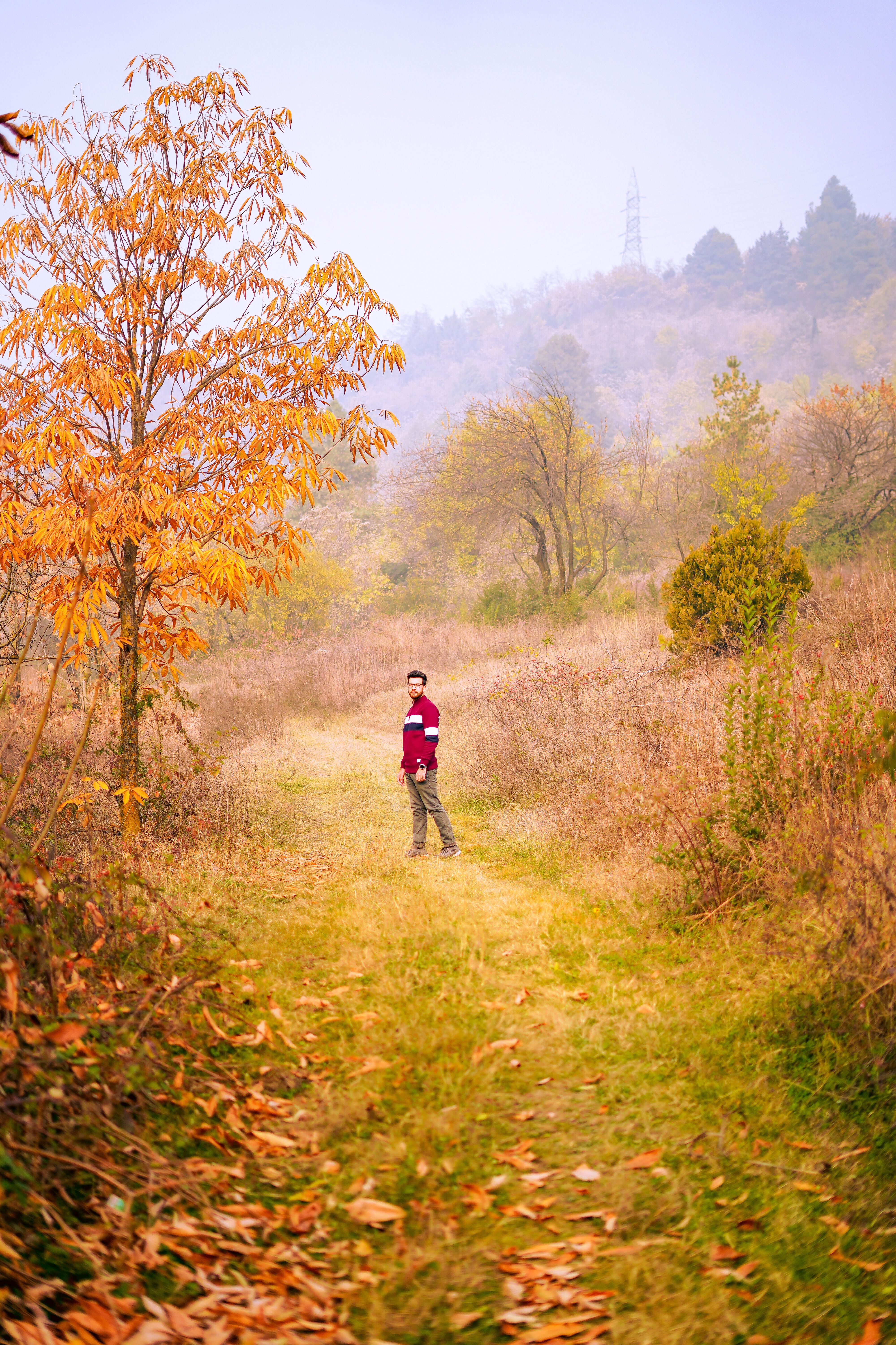 Person standing on an Unpaved Path · Free Stock Photo