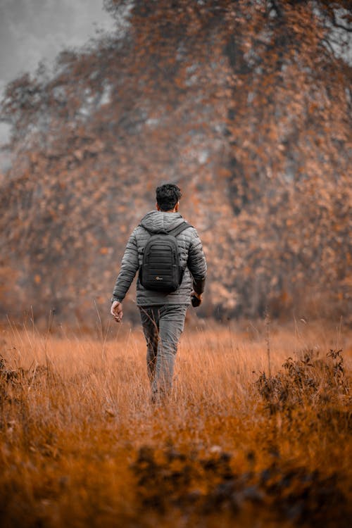 Free A Back View of a Man in Gray Jacket Walking on Brown Grass Field Stock Photo