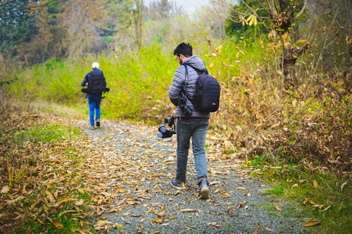 Foto stok gratis berjalan, Daun-daun, di luar rumah