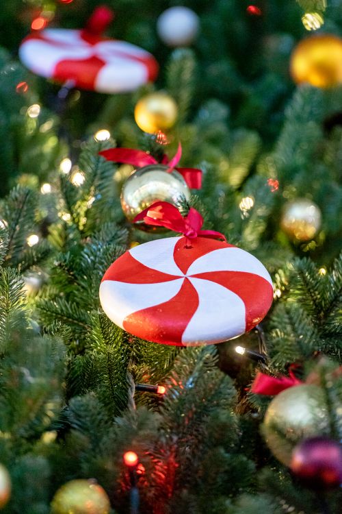 Free Close-up of Christmas tree with candy ornaments and decorative lights. Stock Photo