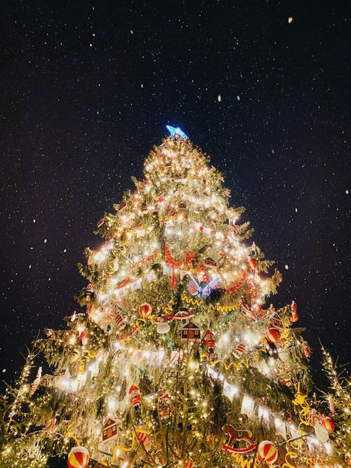 Free A beautifully decorated Christmas tree under a starry sky with falling snowflakes. Stock Photo