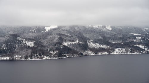 Gratis lagerfoto af luftfotos, natur, skov