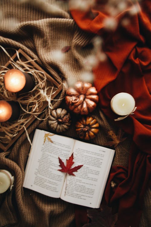 Maple Leaves on a Book