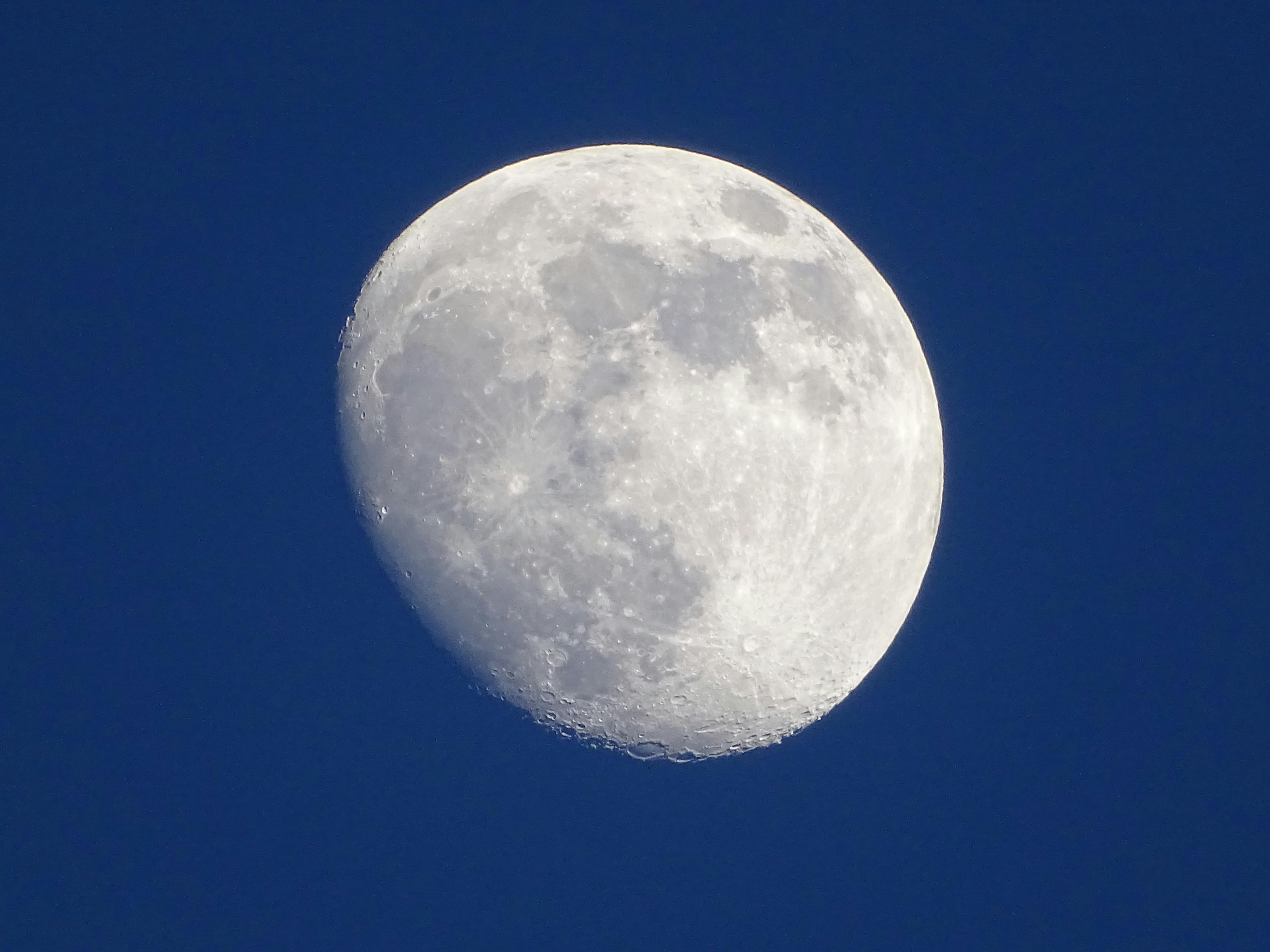 Laptop with back cover removed showing modular layout of internal components